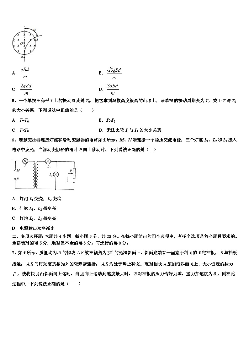 2026届吉林省长春市九台市第四中学高三下学期联考物理试题含解析第2页