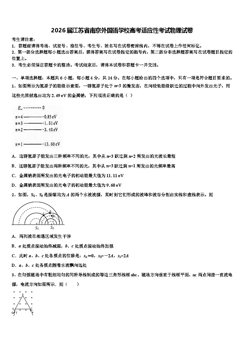 2026届江苏省南京外国语学校高考适应性考试物理试卷含解析第1页