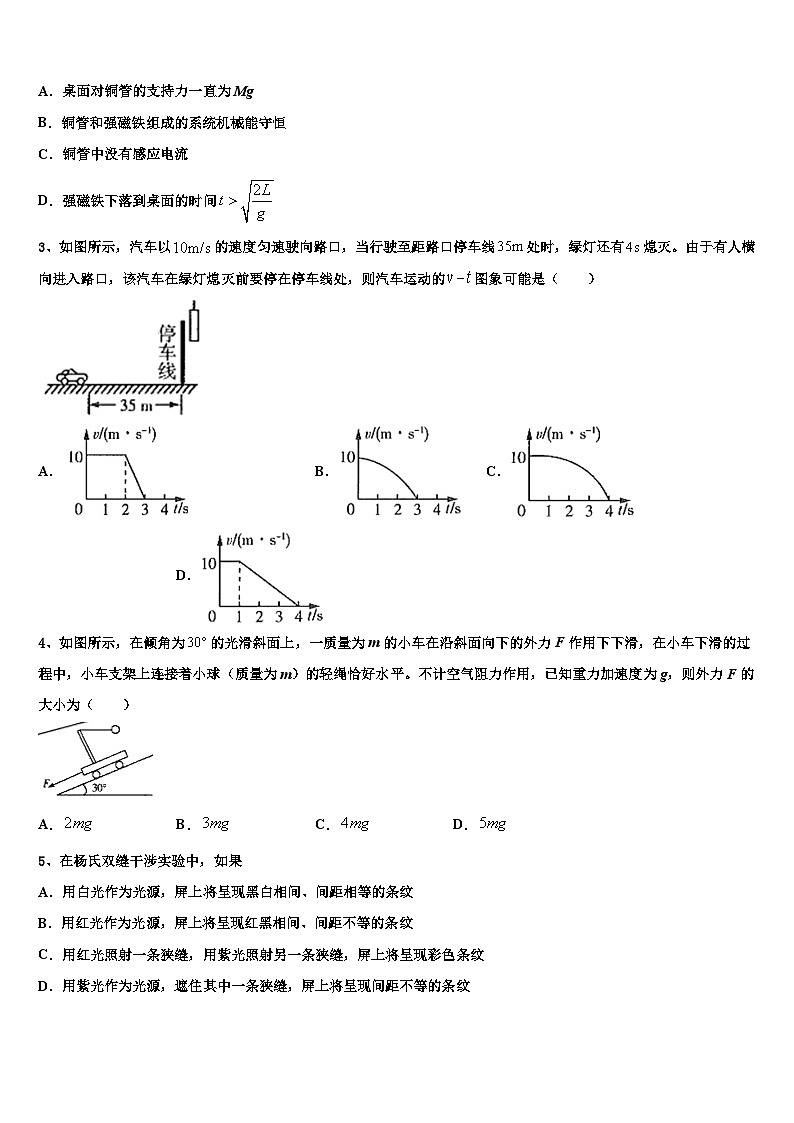 2026届江苏省南京市六合区程桥高级中学高三下第一次测试物理试题含解析第2页