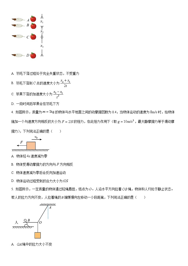 2025-2026学年河南南阳高一上学期期末质量评估物理试卷（学生版）第2页
