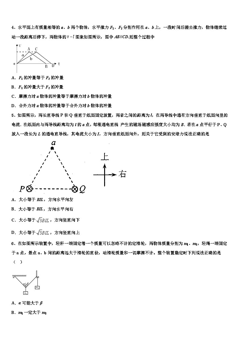 2026届江苏省兴化一中高考仿真卷物理试题含解析第2页
