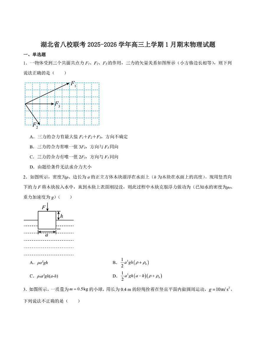 2026届湖北省八校高三上学期期末联考物理试卷（含答案）第1页