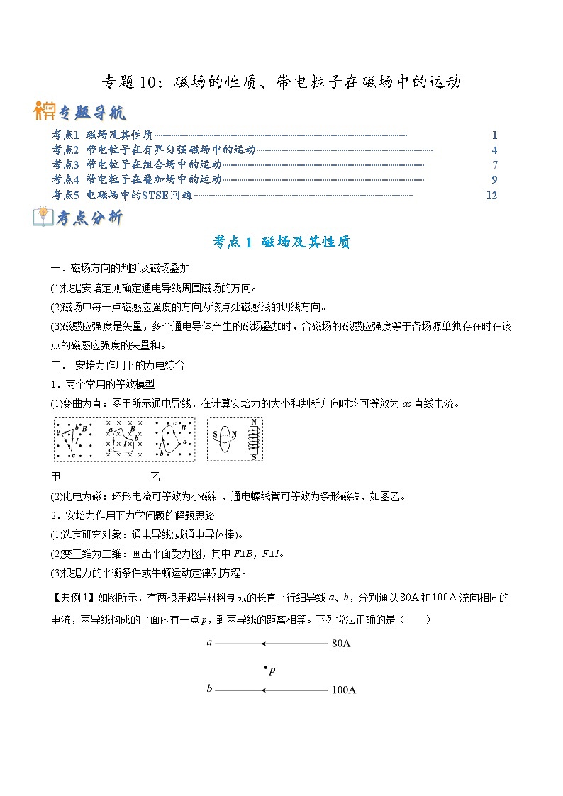 高考物理二轮复习热点题型归纳与变式演练专题10：磁场的性质、带电粒子在磁场中的运动(原卷版）第1页