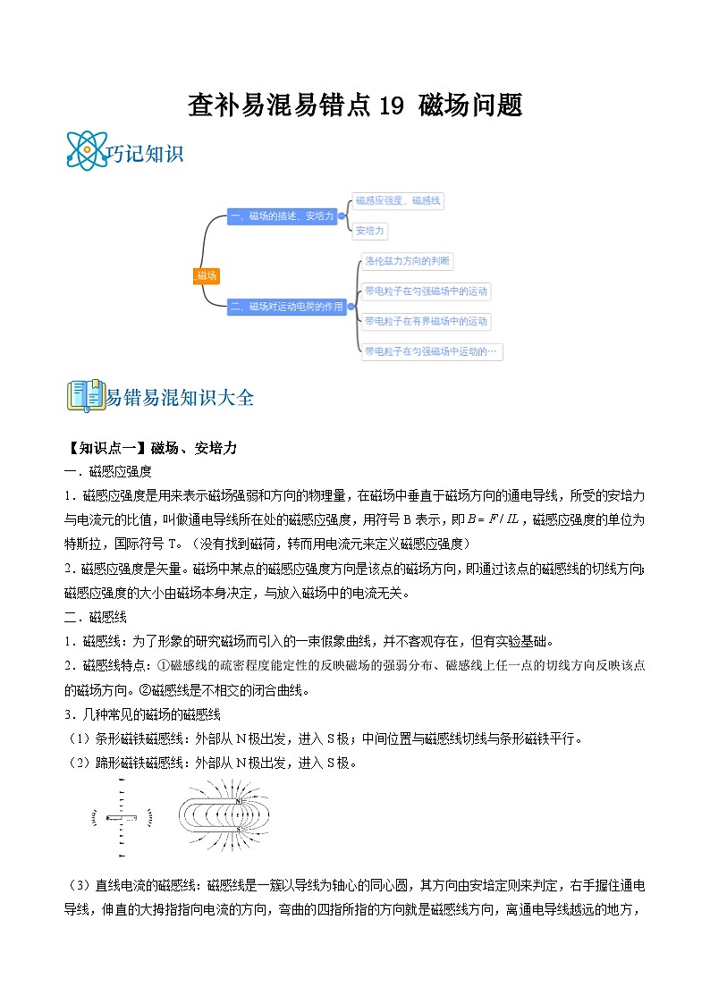 高考物理三轮复习冲刺过关练习易错点19 磁场问题（原卷版）第1页