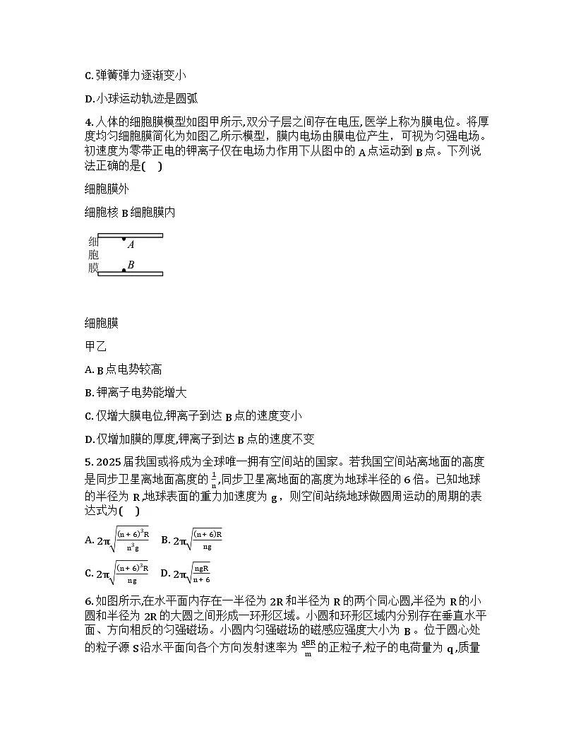 四川泸州市合江县马街中学校2025-2026学年高三下学期开学物理试题含答案第2页