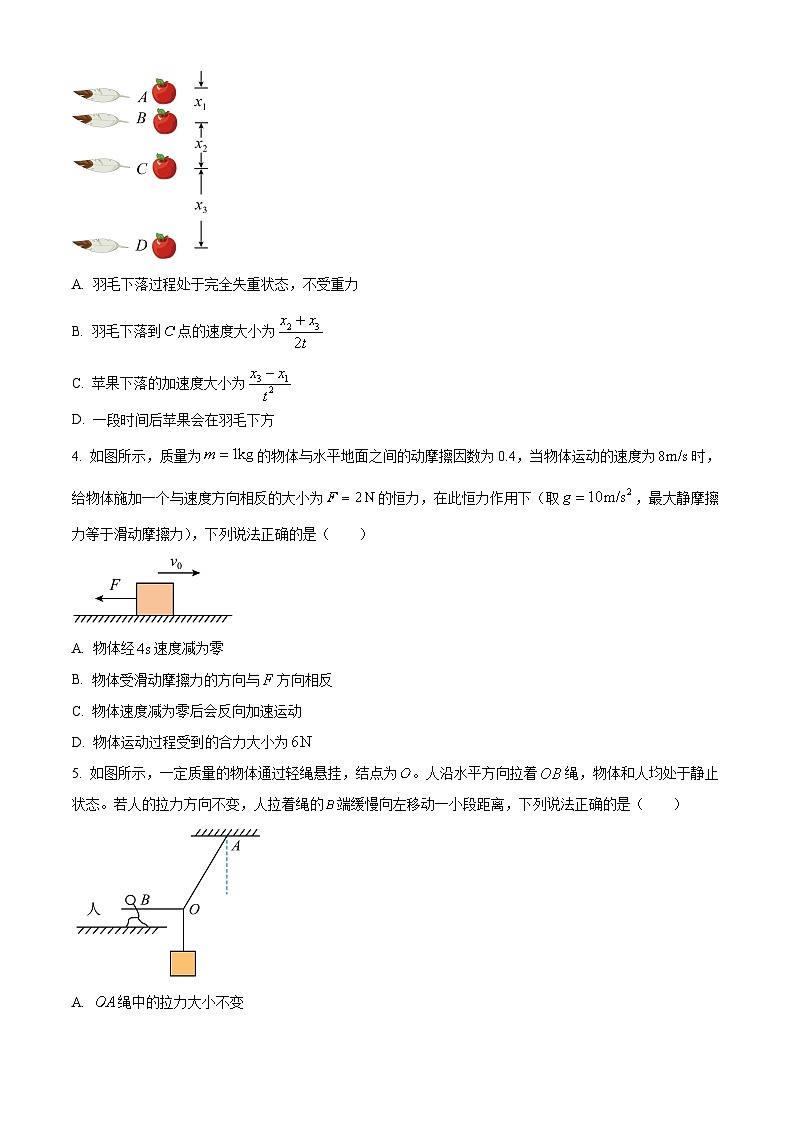 河南南阳2025-2026学年高一上学期期末质量评估物理试题（试卷+解析）第2页