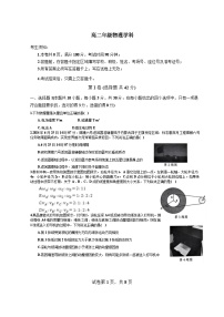 浙江省杭州市部分重点中学2024-2025学年高二下学期开学考试  物理试卷  含答案