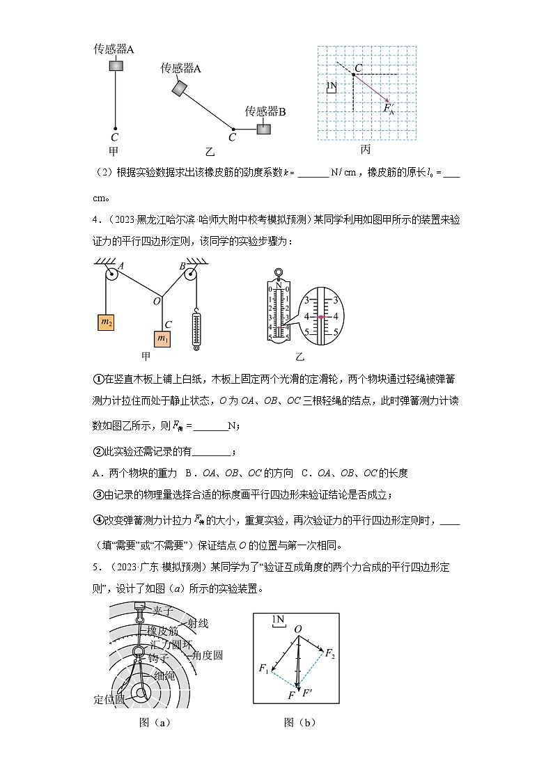 高考物理一轮复习考点巩固练习第11讲 探究两个互成角度的力的合成规律（原卷版）第3页