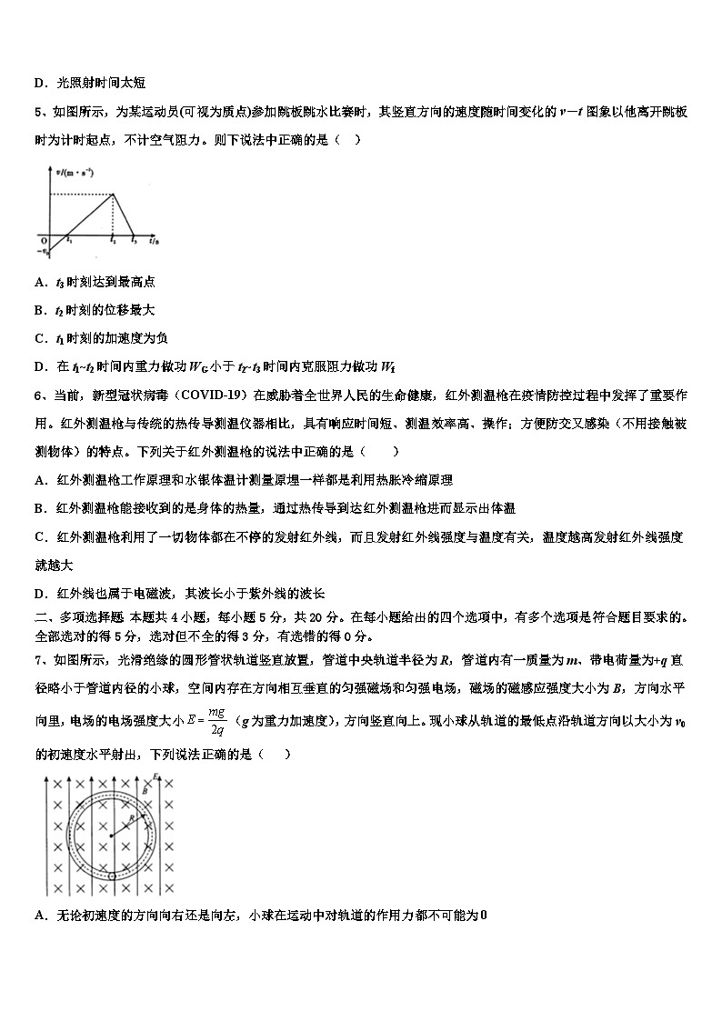 2026届江西省南昌市外国语学校高考仿真卷物理试题含解析第2页