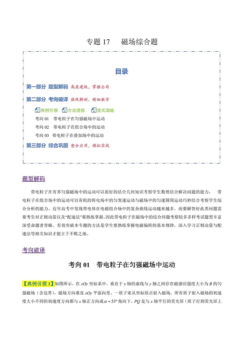 2026年高考物理二轮复习题型专练——磁场综合题（含答案）第1页