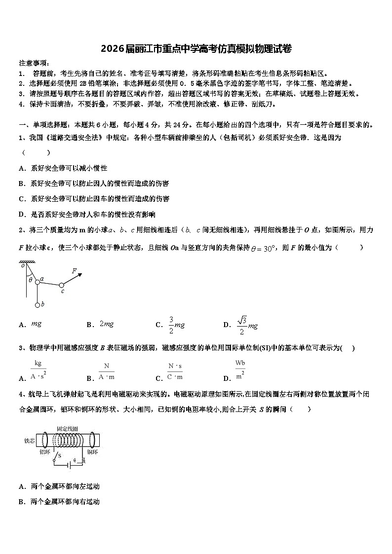 2026届丽江市重点中学高考仿真模拟物理试卷含解析第1页