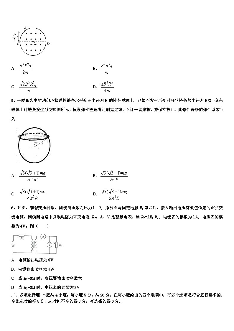 2026届辽宁沈阳市东北育才学校科学高中部高考仿真卷物理试题含解析第2页