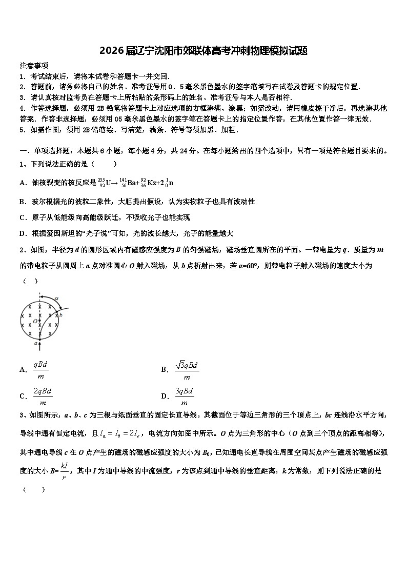 2026届辽宁沈阳市郊联体高考冲刺物理模拟试题含解析第1页