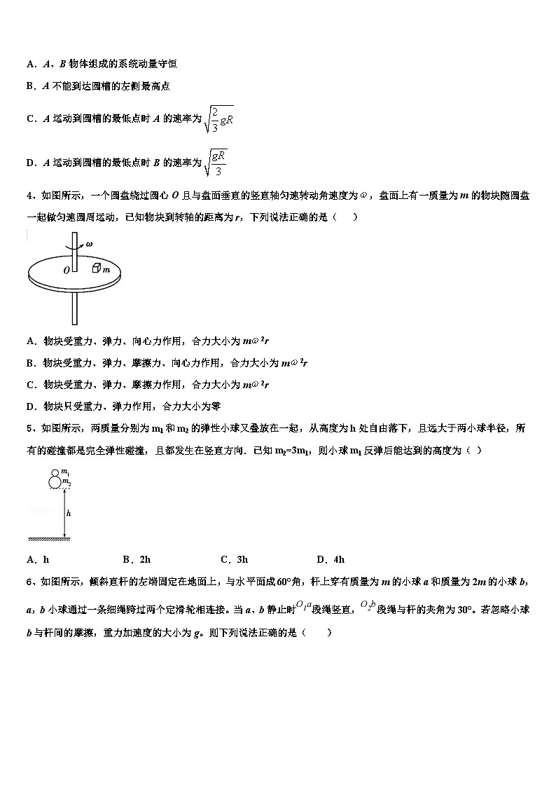 2026届辽宁省朝阳市第二高级中学高考仿真卷物理试题含解析第2页