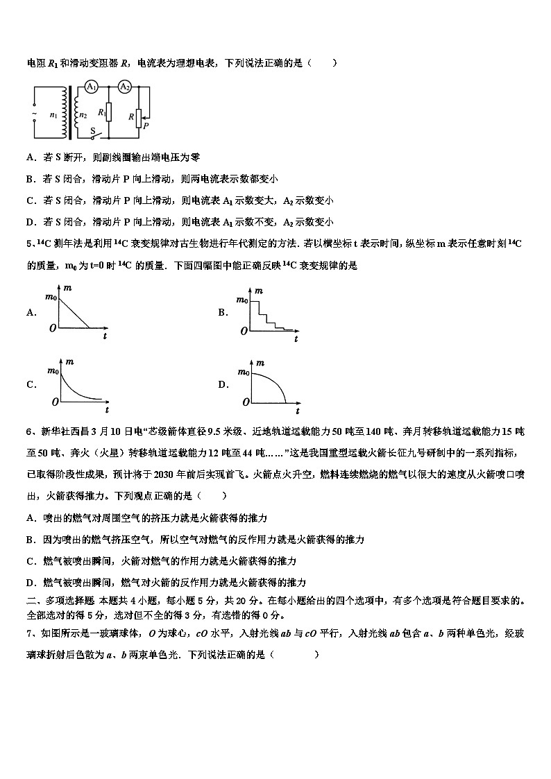 2026届辽宁省东北育才、实验中学高考冲刺模拟物理试题含解析第2页