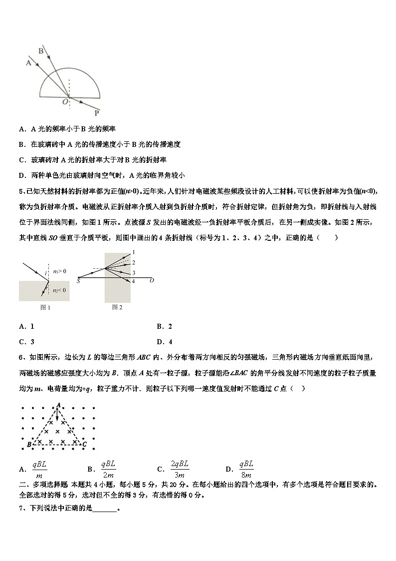 2026届辽宁省抚顺市一中高考冲刺押题（最后一卷）物理试卷含解析第2页