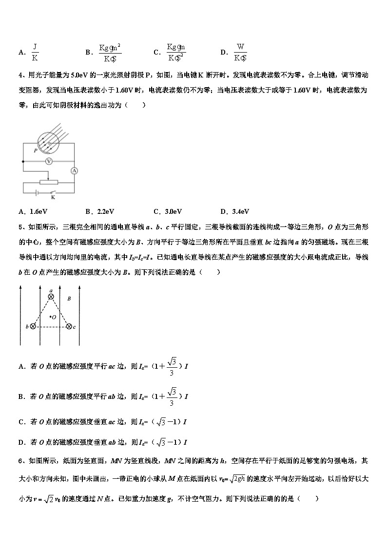 2026届辽宁省沈阳市和平区东北育才学校高考冲刺押题（最后一卷）物理试卷含解析第2页