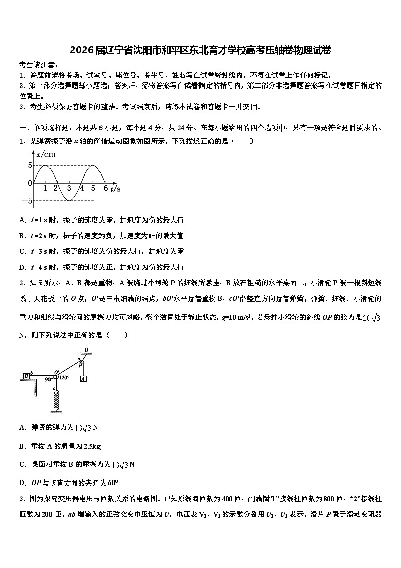 2026届辽宁省沈阳市和平区东北育才学校高考压轴卷物理试卷含解析第1页