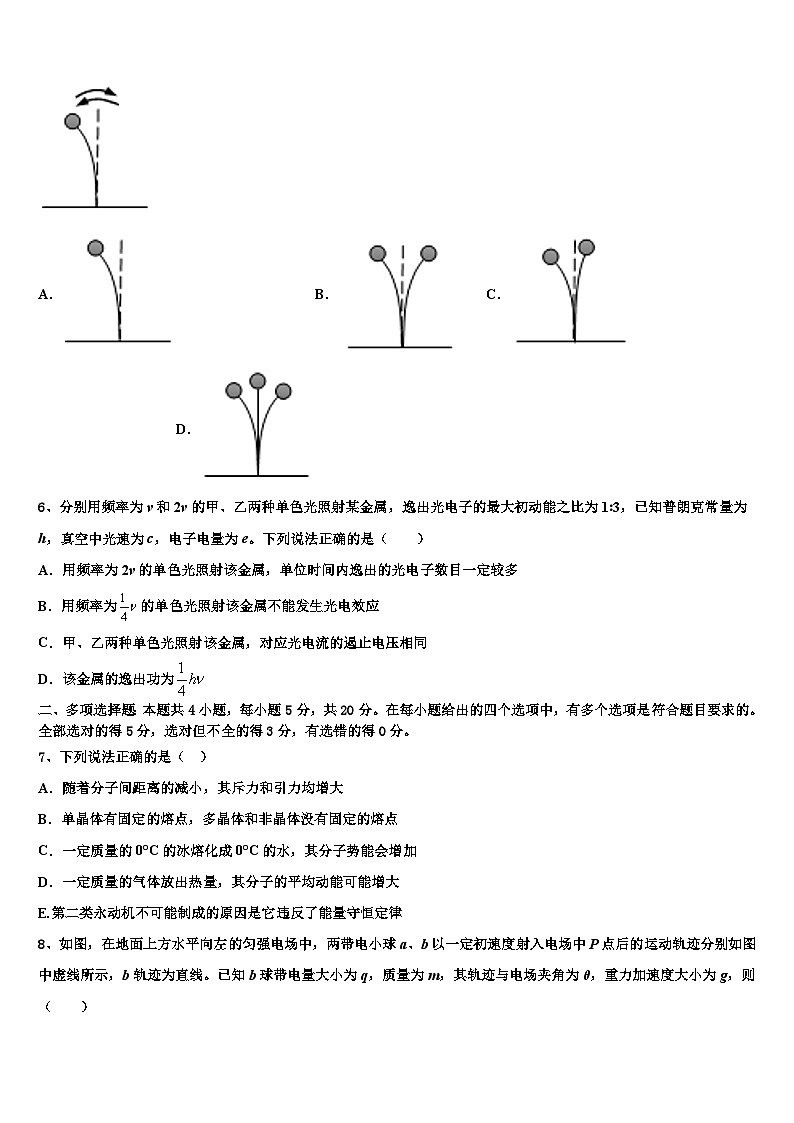 2026届辽宁省庄河市高级中学高三下学期联合考试物理试题含解析第2页