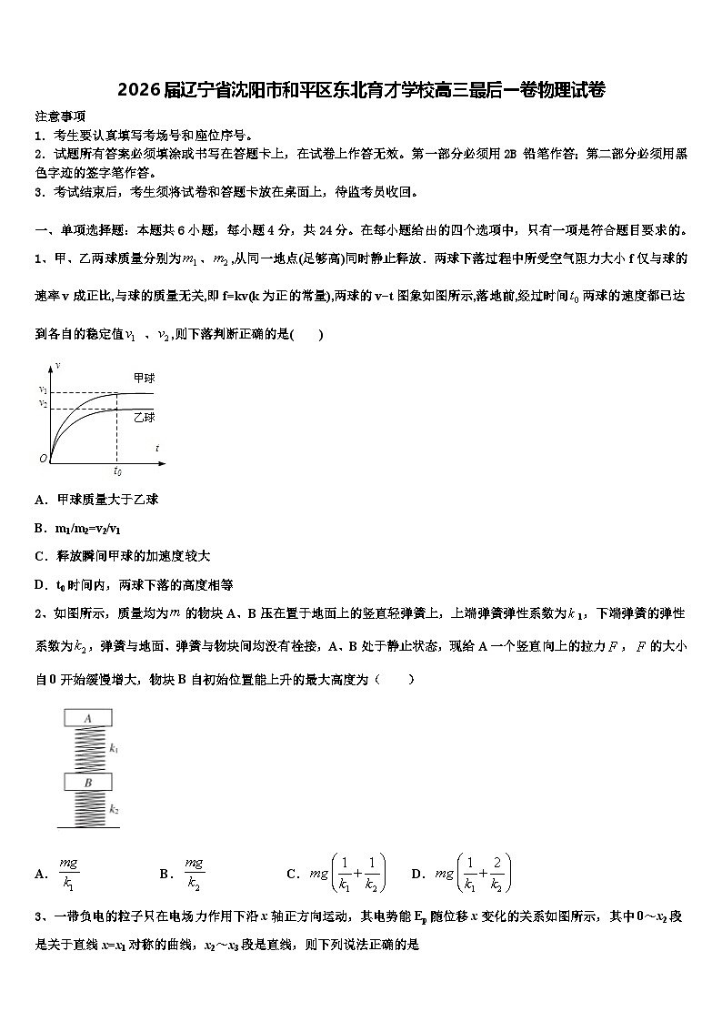 2026届辽宁省沈阳市和平区东北育才学校高三最后一卷物理试卷含解析第1页