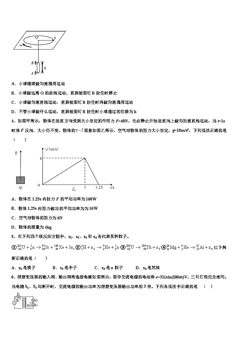 2026届辽宁省辽油二高高三冲刺模拟物理试卷含解析第2页