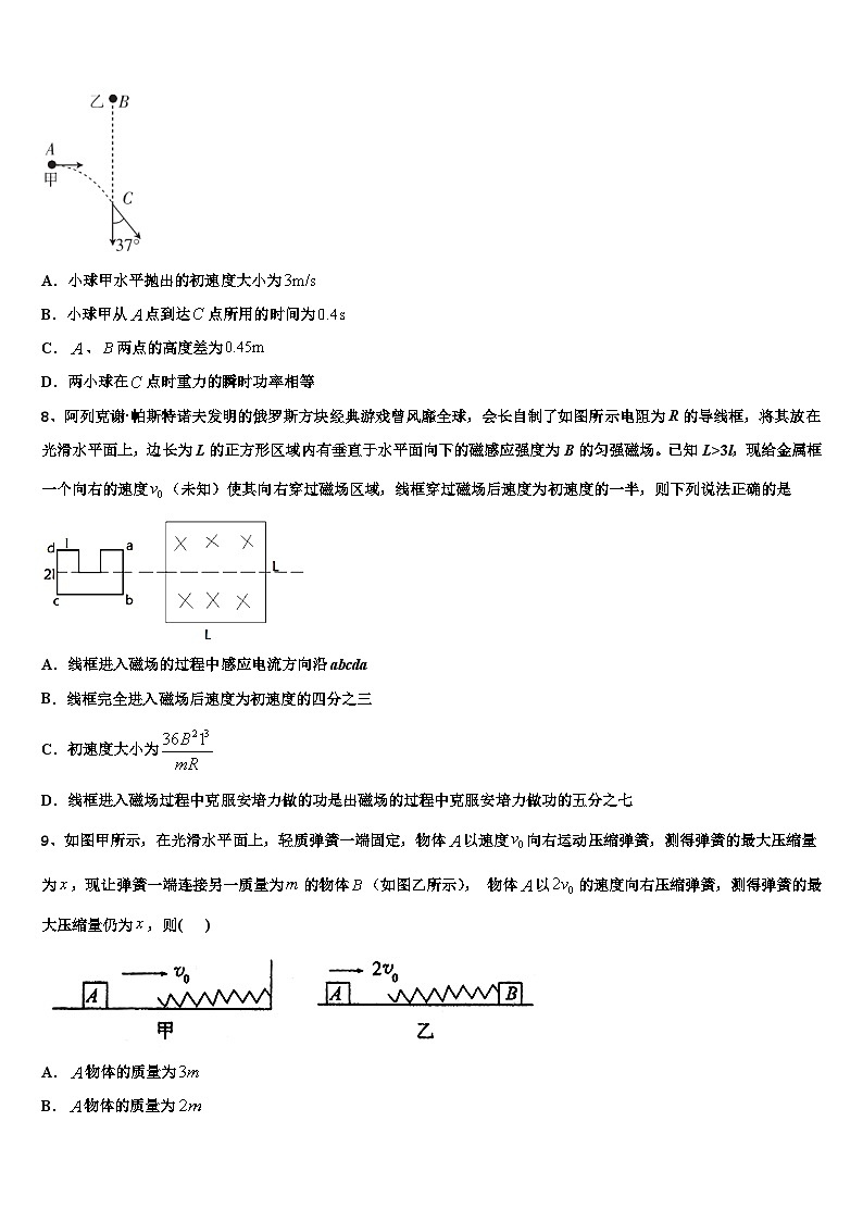 2026届辽宁省大连市甘井子区渤海高中高三最后一卷物理试卷含解析第3页
