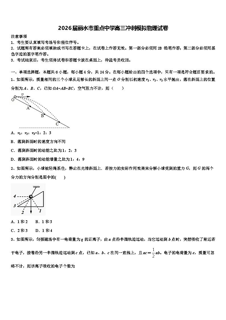 2026届丽水市重点中学高三冲刺模拟物理试卷含解析第1页