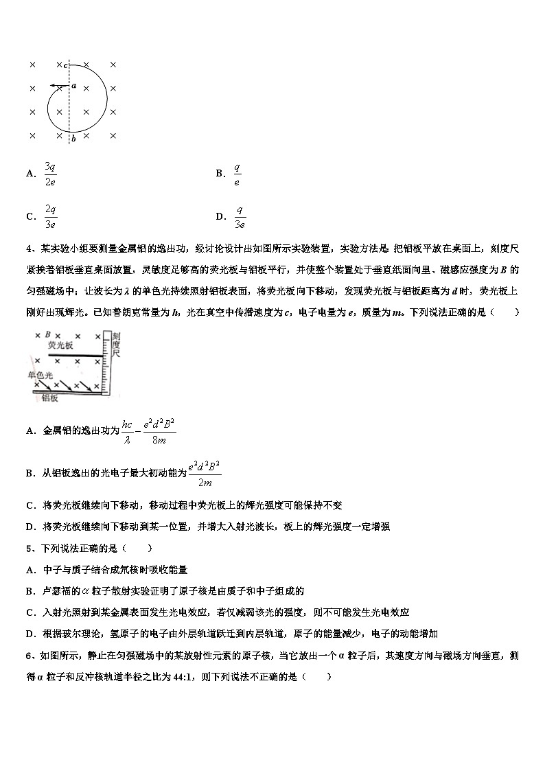 2026届丽水市重点中学高三冲刺模拟物理试卷含解析第2页