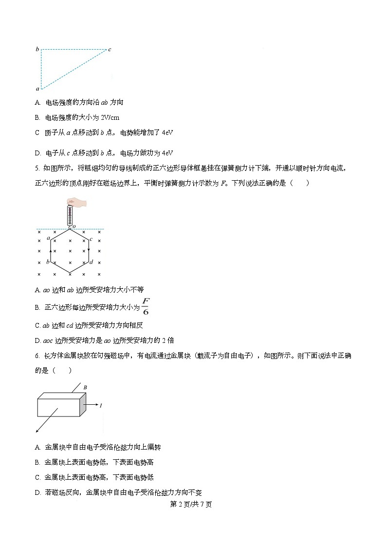 四川省巴中市南江县南江中学2025-2026学年高二上学期期末物理试题（原卷版）第2页