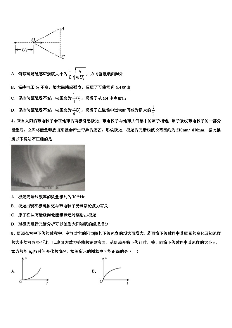 2026届齐齐哈尔市重点中学高考仿真模拟物理试卷含解析第2页
