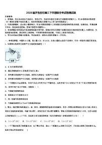 2026届齐鲁名校高三下学期联合考试物理试题含解析
