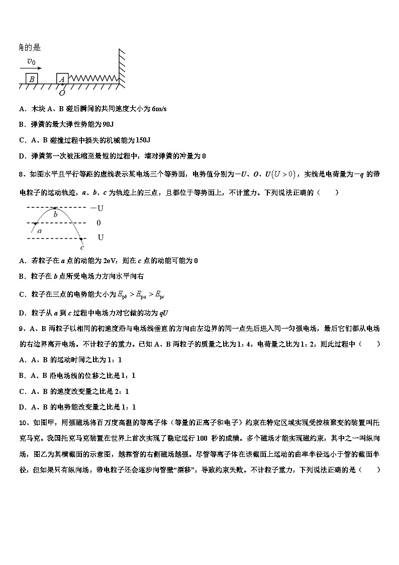 2026届青海省湟川中学高三第二次调研物理试卷含解析第3页