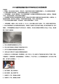 2026届青海省海南市重点中学高考适应性考试物理试卷含解析