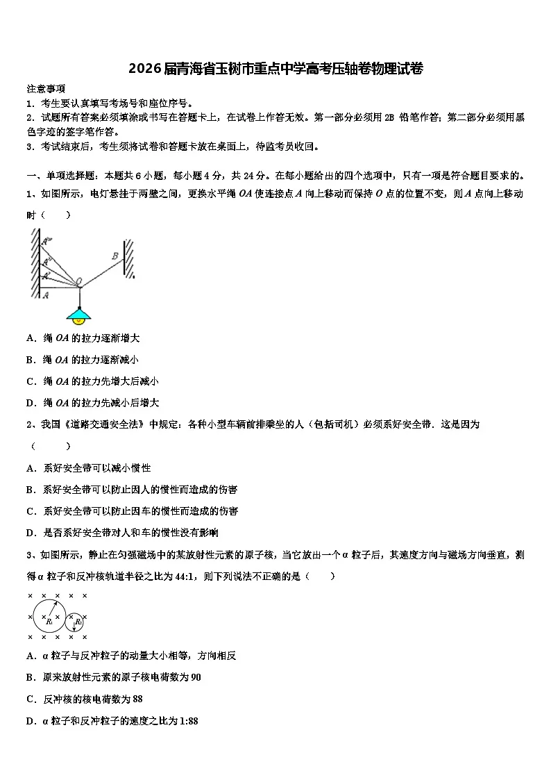 2026届青海省玉树市重点中学高考压轴卷物理试卷含解析第1页