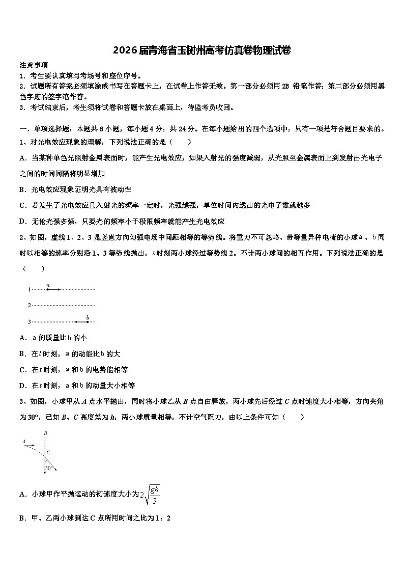 2026届青海省玉树州高考仿真卷物理试卷含解析第1页