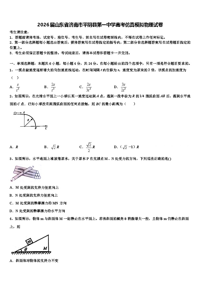2026届山东省济南市平阴县第一中学高考仿真模拟物理试卷含解析第1页