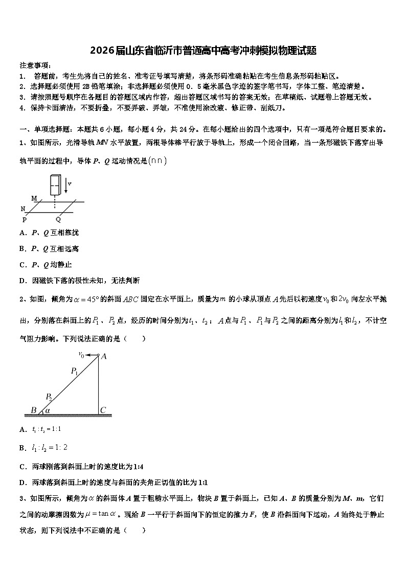 2026届山东省临沂市普通高中高考冲刺模拟物理试题含解析第1页