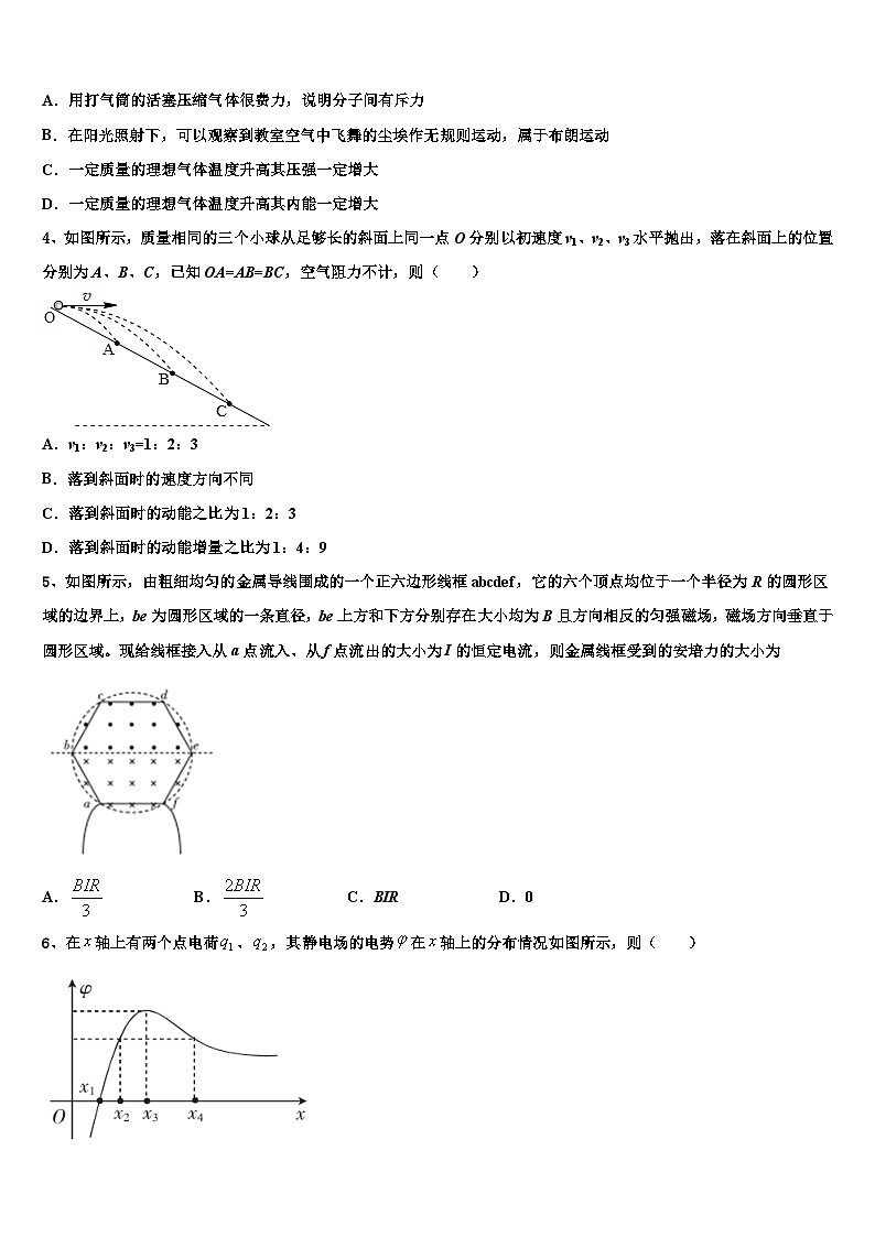 2026届山东省聊城市华育学校高考压轴卷物理试卷含解析第2页