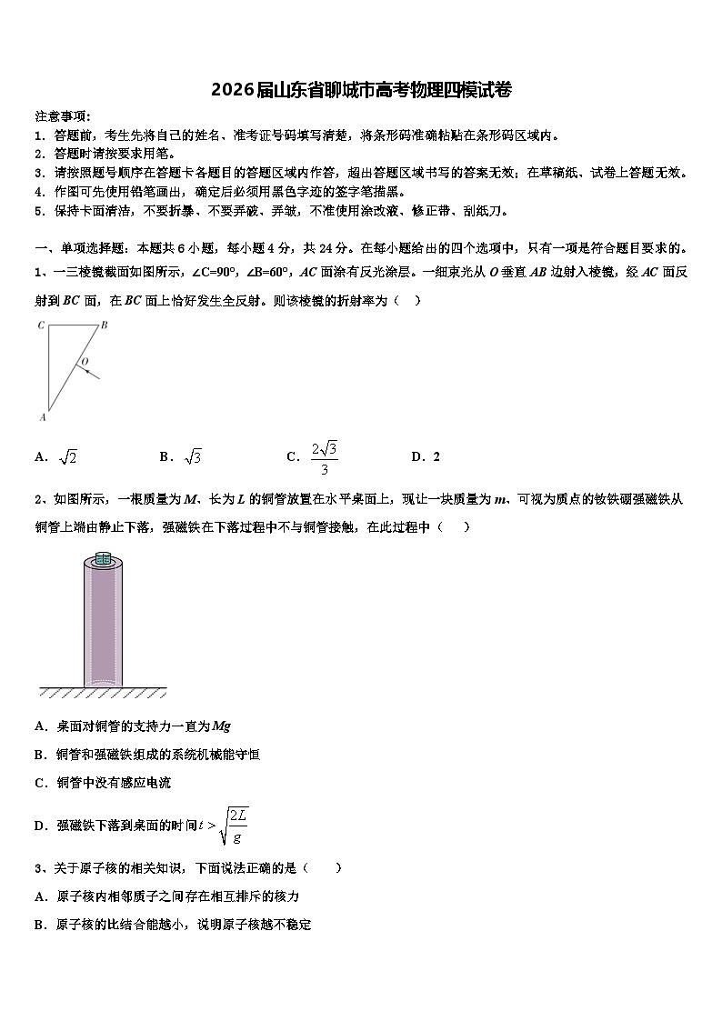 2026届山东省聊城市高考物理四模试卷含解析第1页