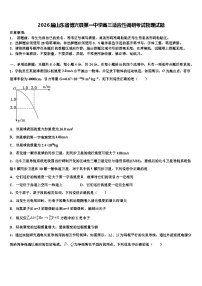2026届山东省博兴县第一中学高三适应性调研考试物理试题含解析