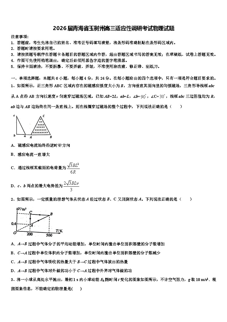 2026届青海省玉树州高三适应性调研考试物理试题含解析第1页