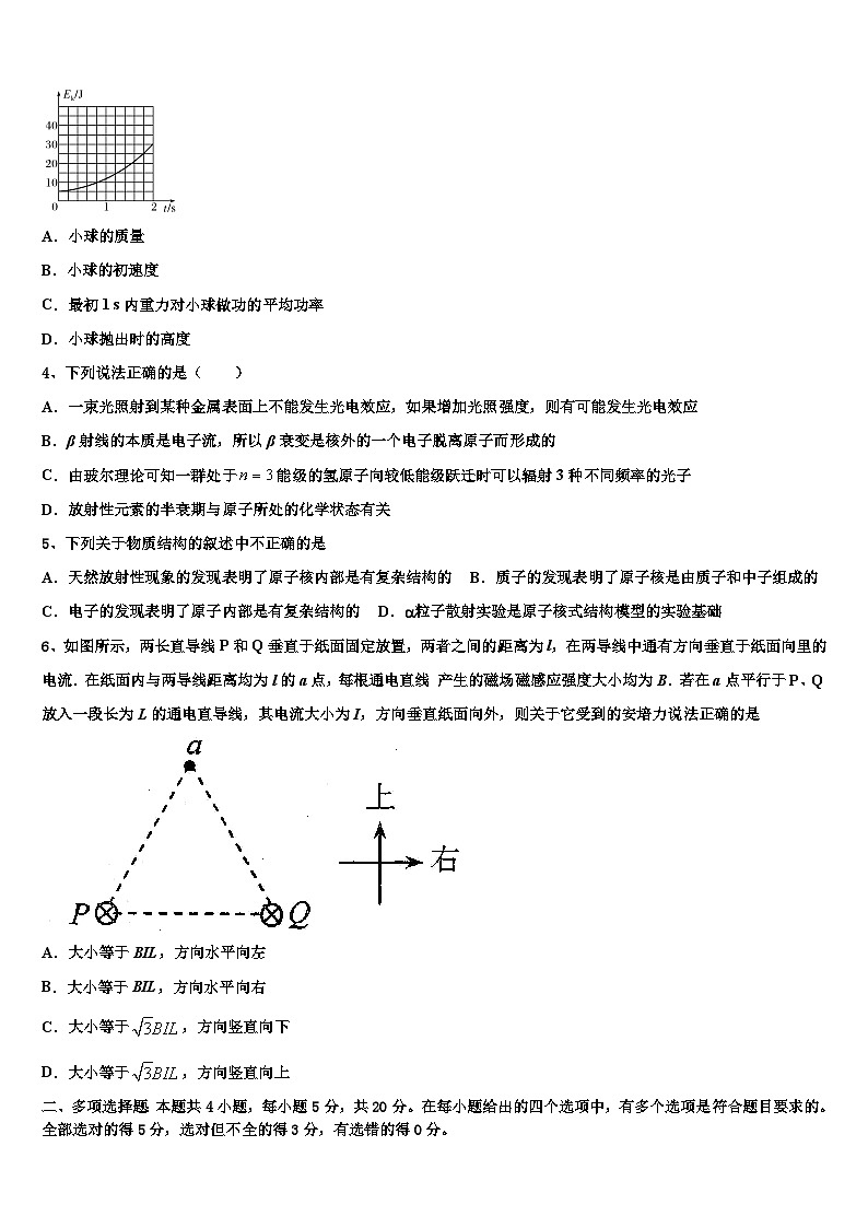 2026届青海省玉树州高三适应性调研考试物理试题含解析第2页