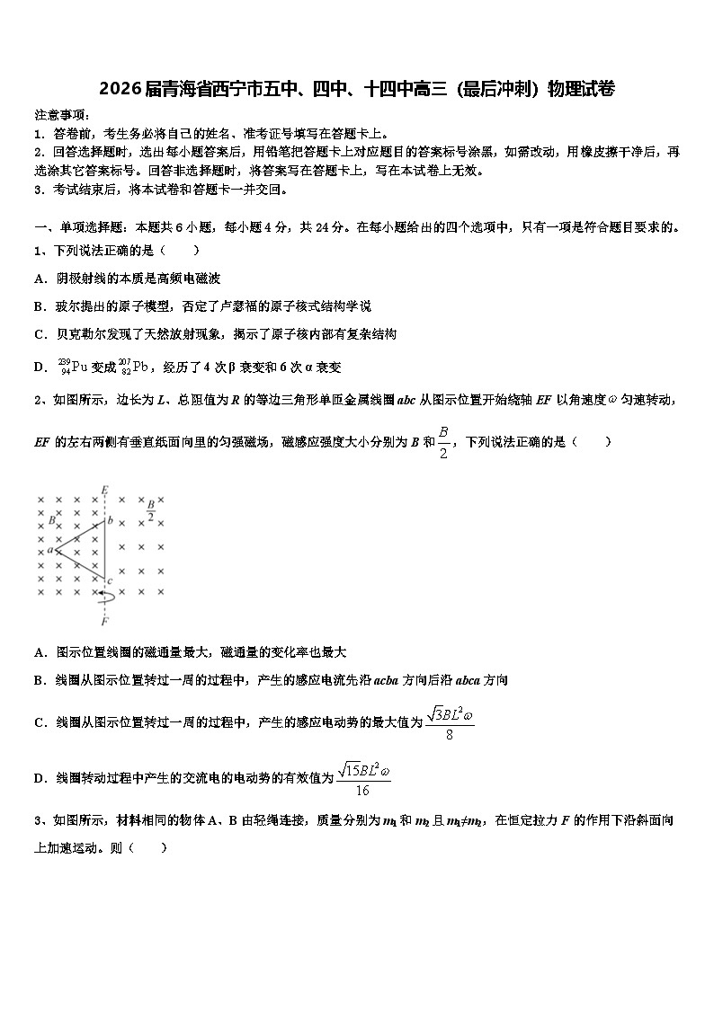 2026届青海省西宁市五中、四中、十四中高三（最后冲刺）物理试卷含解析第1页