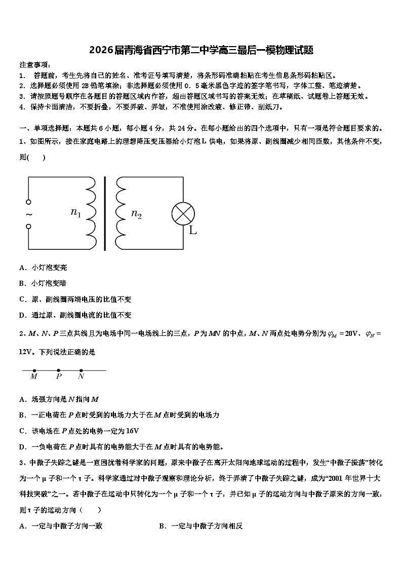 2026届青海省西宁市第二中学高三最后一模物理试题含解析第1页