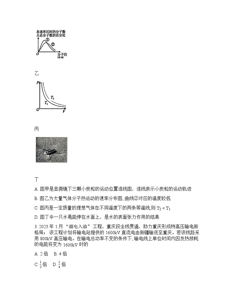 重庆名校联盟2025-2026学年下学期年高三第一次联考物理试卷含答案第2页