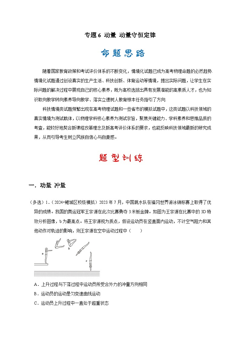 专题6 动量 动量守恒定律（解析版）第1页