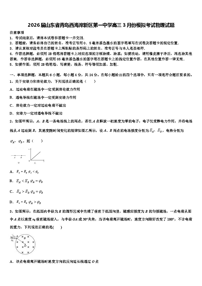 2026届山东省青岛西海岸新区第一中学高三3月份模拟考试物理试题含解析第1页