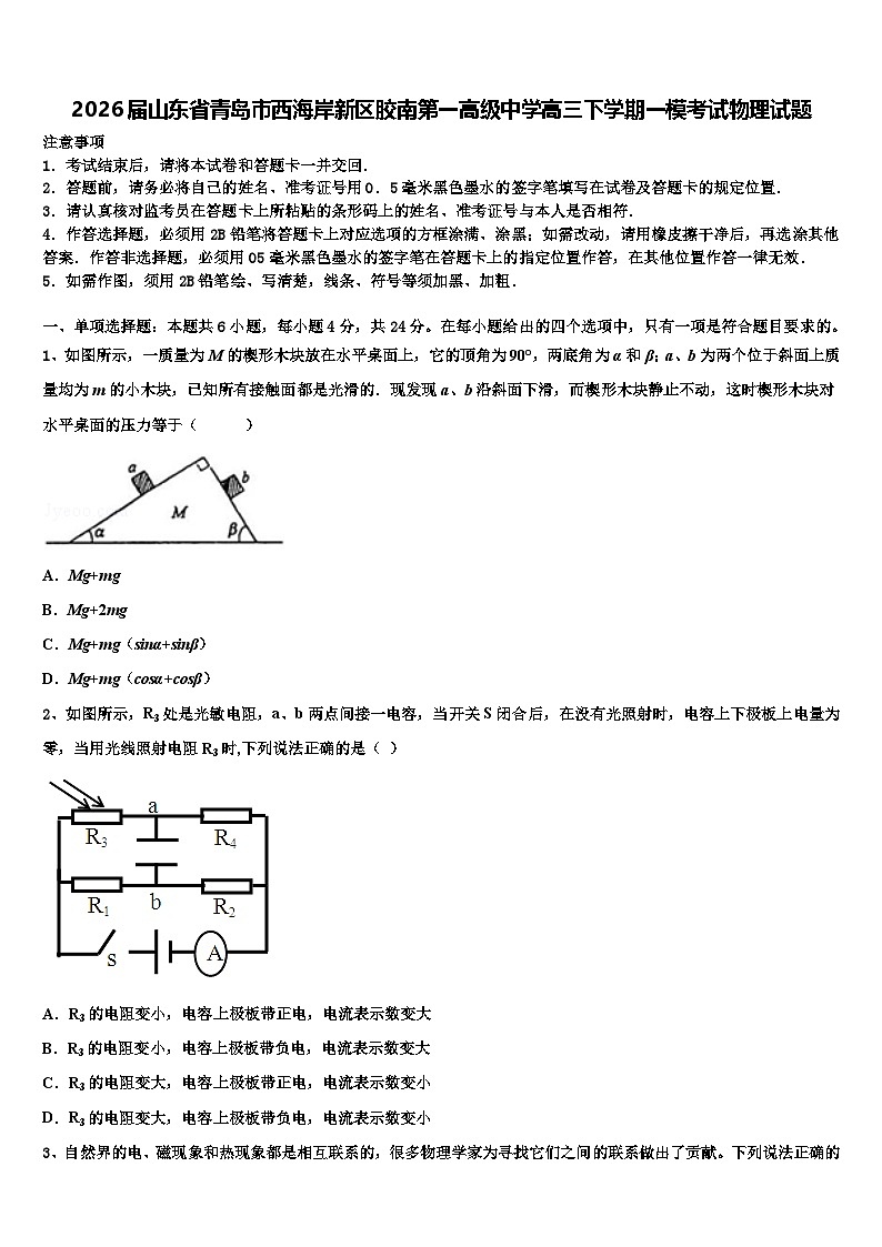 2026届山东省青岛市西海岸新区胶南第一高级中学高三下学期一模考试物理试题含解析第1页