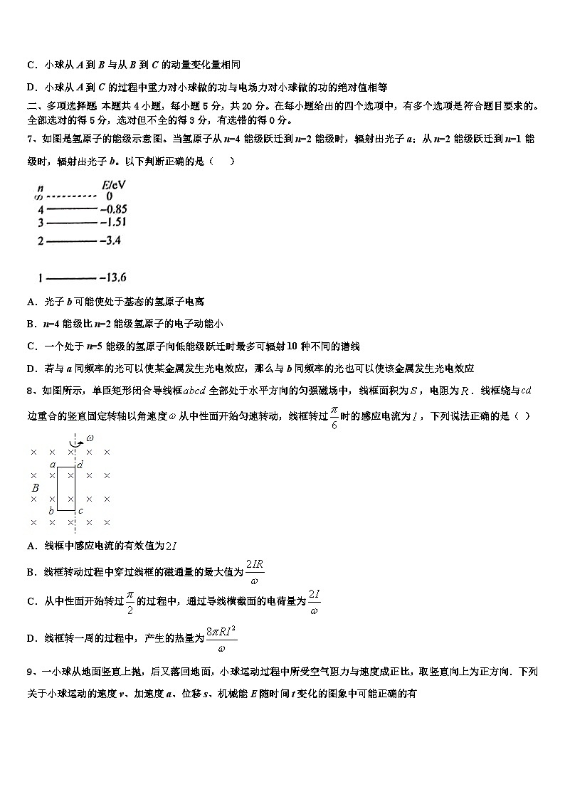 2026届山东省乳山市高考适应性考试物理试卷含解析第3页