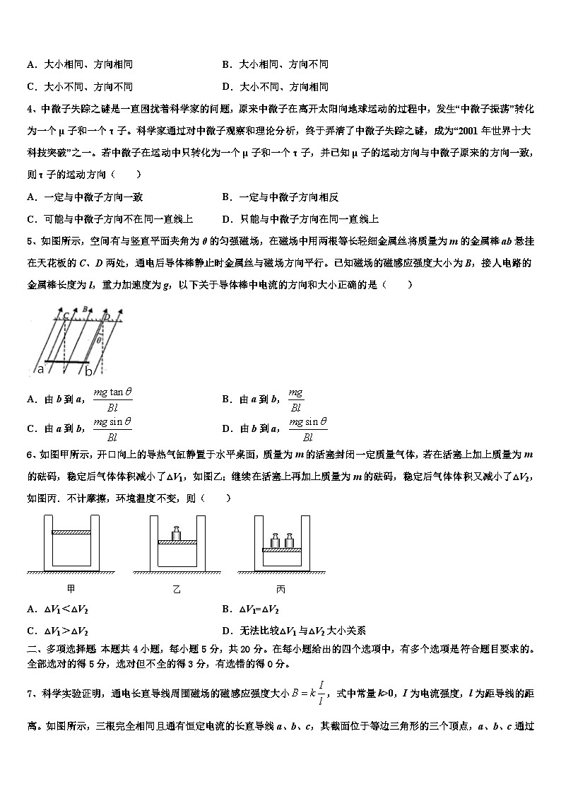 2026届山东省泰安市肥城市高考全国统考预测密卷物理试卷含解析第2页